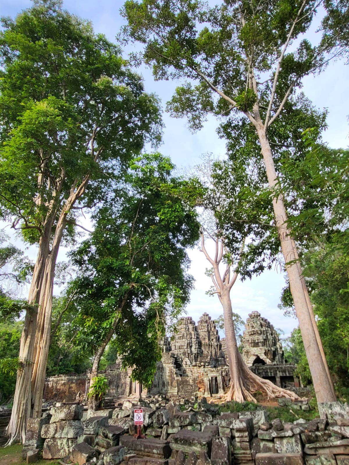 Ta Prohm — racines de fromagers géants envahissant les pierres millénaires, Siem Reap